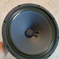 CONO per AMPLIFICATORE CHITARRA PEAVEY 12"