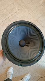 CONO per AMPLIFICATORE CHITARRA PEAVEY 12"