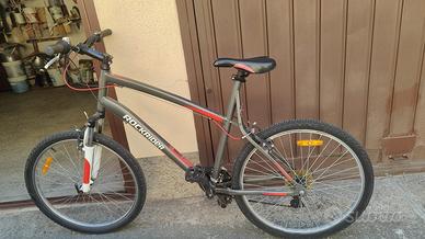 bicicletta da uomo