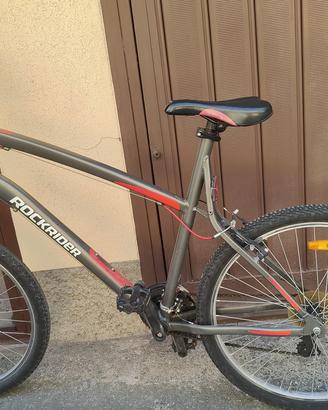 bicicletta da uomo