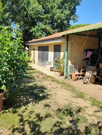 Terreno con annesso agricolo