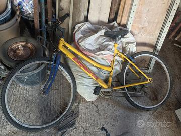 Bici Esperia