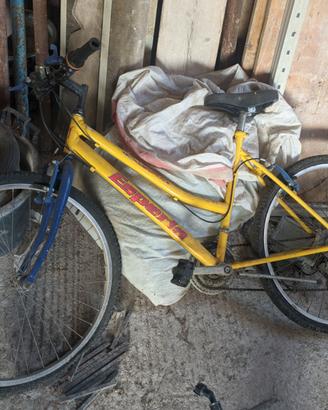Bici Esperia