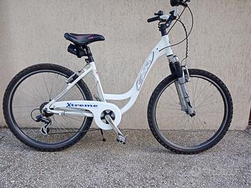 bicicletta