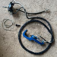 Pinza dendrochirurgica