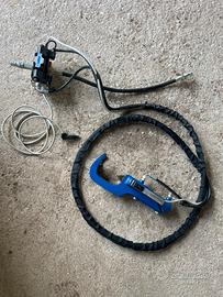 Pinza dendrochirurgica