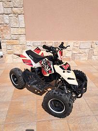 Miniquad 50cc Vikimoto Raptor