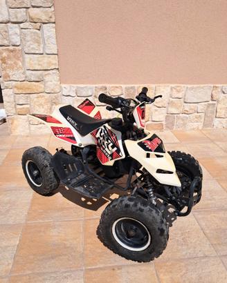 Miniquad 50cc Vikimoto Raptor