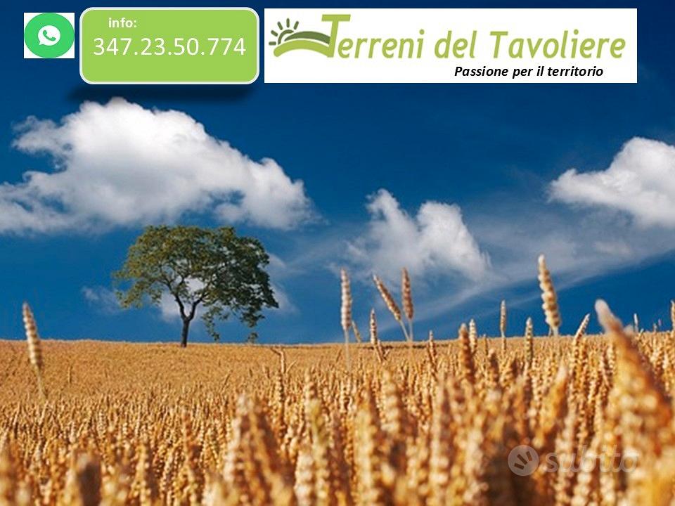 Terreno Agricolo 24 Ettari - Apricena - Vista 2