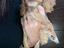 Immagine 3