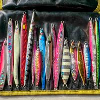 Artificiali shore jigging ed altri da spinning