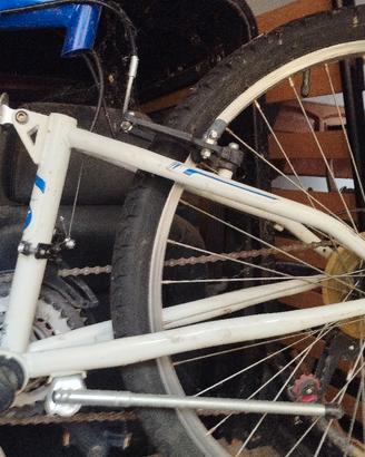 bici ragazzo 