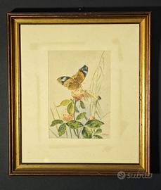 Luigi Capone Maiori, 1809 – 1896 Antico acquerello