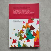 Risolvere i problemi di geometria Erickson