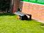 Immagine 6