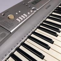 YAMAHA PSR - E303