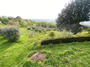 Terreno agricolo 8000 mq