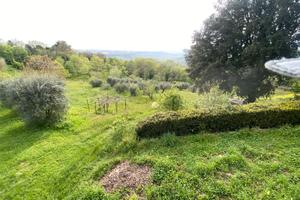 Terreno agricolo 8000 mq