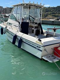 Gradywhite 254 Sailfish