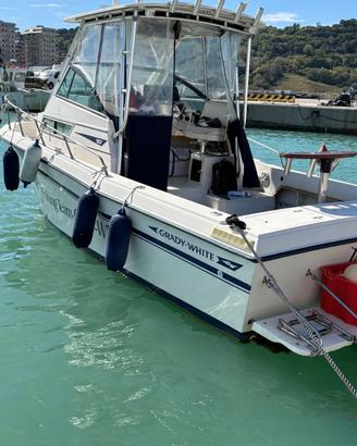 Gradywhite 254 Sailfish