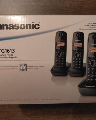 Set 3 telefoni cordless Panasonic KX-TG1613