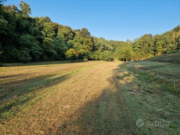 Terreno agricolo in collina ,comune di lari