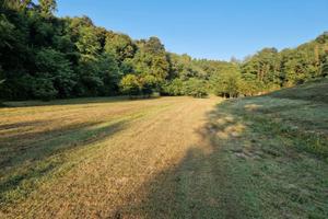 Terreno agricolo in collina ,comune di lari