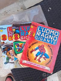 uomo ragno gigante 