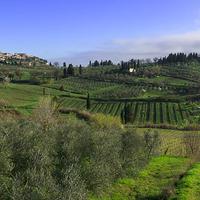 Stampa fotografica FINE ART alta qualità (#41)