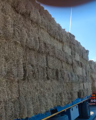 Fieno e paglia in ballette di alta qualità