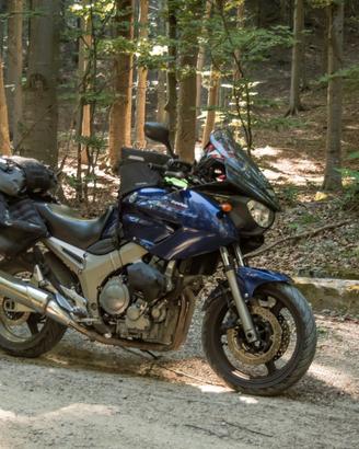 TDM 900 2004 NO ABS