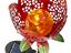 Immagine 4