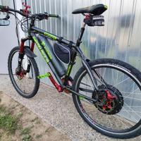 Bici elettrica