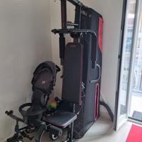 palestra