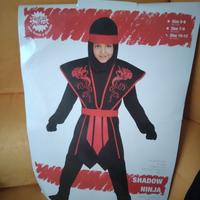 Costume di carnevale