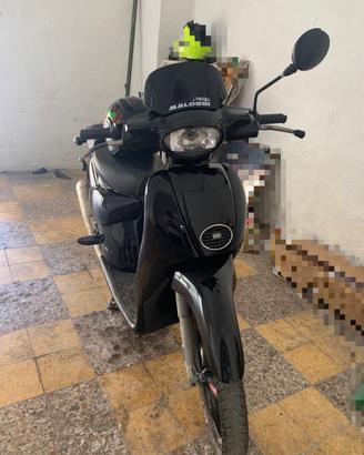 Scarabeo 50