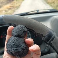 tartufo finto per addestramento