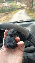 tartufo finto per addestramento