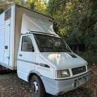 Camion IVECO TD 35-10 Trasporto animali vivi