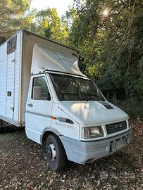 Camion IVECO TD 35-10 Trasporto animali vivi
