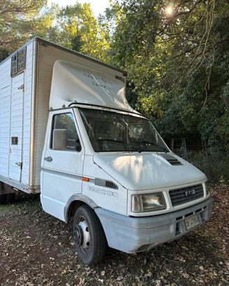Camion IVECO TD 35-10 Trasporto animali vivi