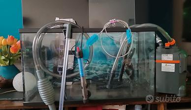 acquario 