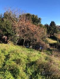 Rustico da ristrutturare