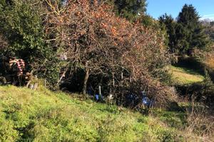 Rustico da ristrutturare