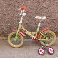 Bicicletta bambina 3-6 anni