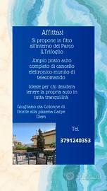 Fittasti ampio posto auto all' interno del parco