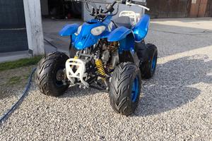 Quad Longini 110cc