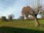 Immagine 26