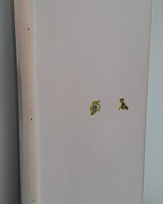 congelatore a cassetti
