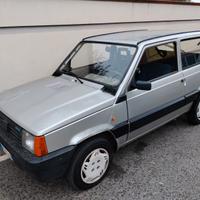 fiat panda college